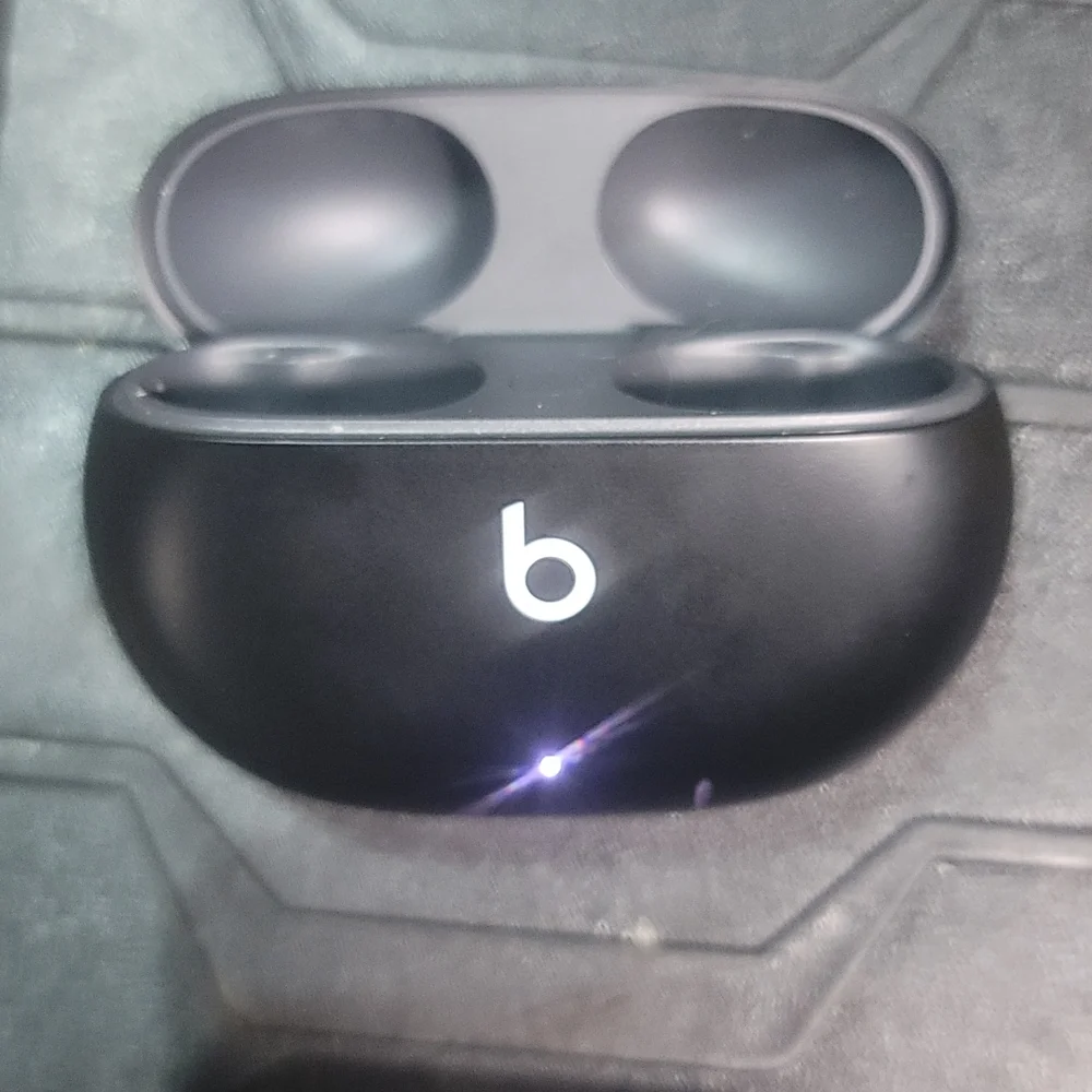 Beats studio pro with buds